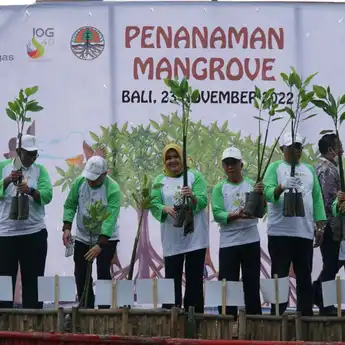 SKK Migas-KKKS dan Kementerian KLHK Tanam Puluhan Ribu Mangrove