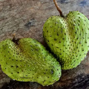 12 Manfaat Buah Sirsak Baik Untuk Kesehatan Tubuh hingga Kulit