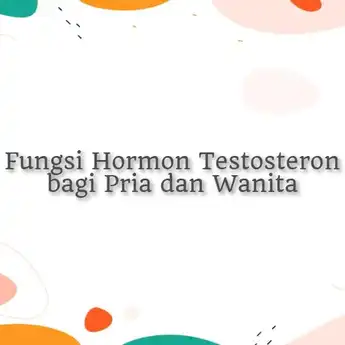 Fungsi Hormon Testosteron bagi Pria dan Wanita, Lengkap!