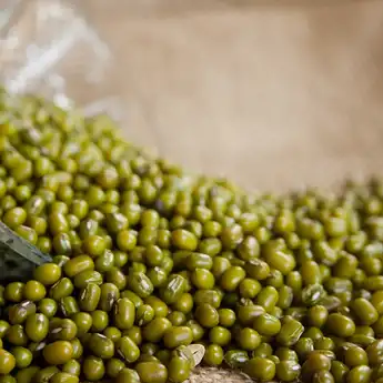 6 Manfaat Kacang Hijau untuk Ibu Hamil, Bagus untuk Pertumbuhan Janin