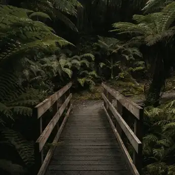 10 Arti Mimpi Tersesat di Hutan yang Menakutkan dan Bikin Merinding! 
