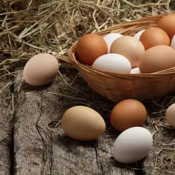 Mengejutkan ! Telur Bisa Picu Munculnya Uban, Simak Informasinya
