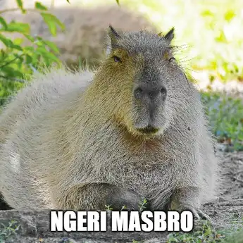 Meme Capybara: Kenapa Disebut Masbro? Ini Penjelasan Lengkapnya