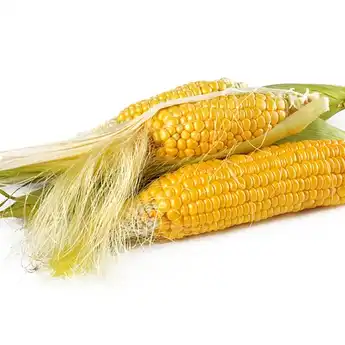 Coba Minum Air Rebusan Rambut Jagung Sebelum Tidur, Dijamin Hasilnya Bikin Sujud Syukur Satu Keluarga