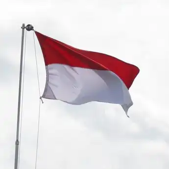Syarat Menjadi Warga Negara Indonesia atau Naturalisasi untuk WNA