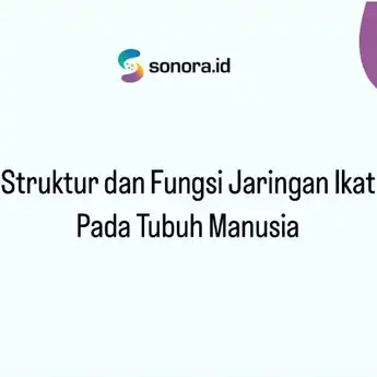 Struktur dan Fungsi Jaringan Ikat Pada Tubuh Manusia                  