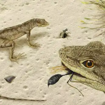 Kadal Berkembang Biak dengan Cara Apa? Ini Penjelasan Ilmiahnya!