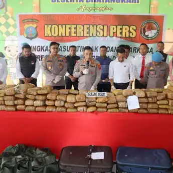 Satresnarkoba Polresta Deliserdang Berhasil Sita 173 Kilogram Ganja
