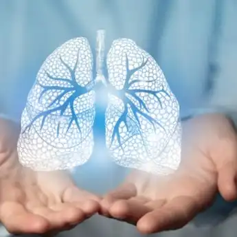 Fungsi Bronkus dalam Sistem Pernapasan, Beserta Penjelasannya
