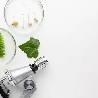 Ruang Lingkup Biologi Kelas X: Tingkat Organisasi dan Cabang Ilmu