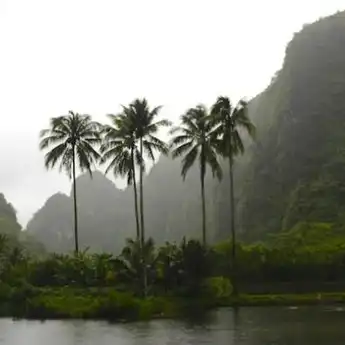 Geopark Maros Pangkep Resmi Jadi Bagian UNESCO Global Geopark