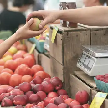 Teori Perilaku Konsumen: Pengertian dan Faktor yang Memengaruhi