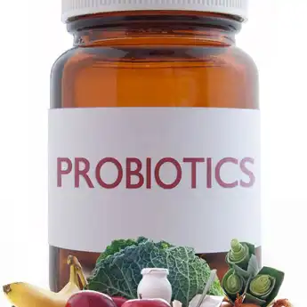 Waktu Terbaik Minum Probiotik Untuk Tubuh