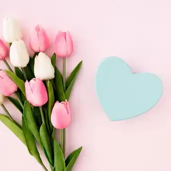 Arti Bunga Tulip: Filosofi Serta Makna Pada Tiap Warnanya   