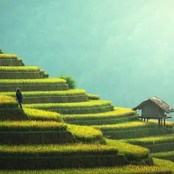 7 Contoh Puisi Tentang Alam Penuh Makna, Bisa Jadi Inspirasi