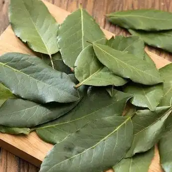 Tetangga Bingung karena Sering Bakar Daun Salam Tiap Malam, Efeknya Malah Bikin Satu Komplek Ketagihan Nyoba