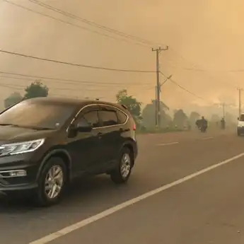 Bahaya Kabut Asap! Ini Beberapa Penyakit yang Patut Diwaspadai