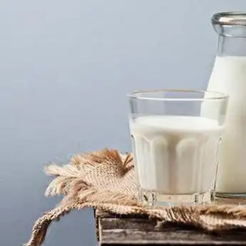 11 Rekomendasi Susu Tinggi Kalsium untuk Remaja hingga Dewasa