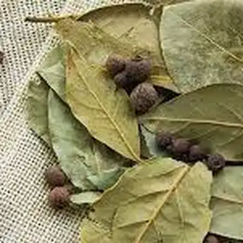 9 Manfaat Daun Salam untuk Kesehatan dan Efek Sampingnya