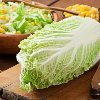 10 Manfaat Sawi Putih untuk Kesehatan, Beserta Kandungan Gizinya