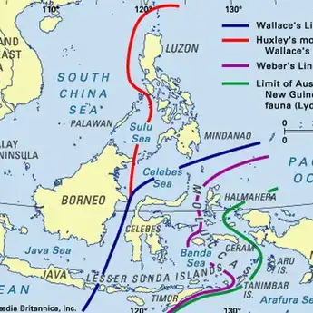 Mengenal Garis Wallace dan Garis Weber yang Memisahkan Flora dan Fauna di Indonesia