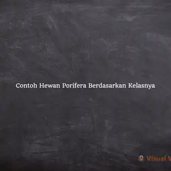 Contoh Hewan Porifera Berdasarkan Kelasnya: Materi Biologi