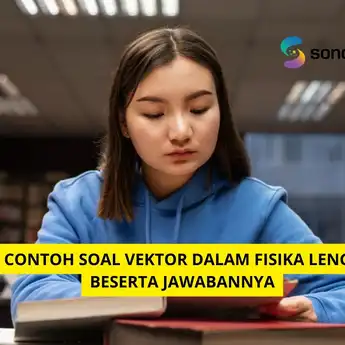 10 Contoh Soal Vektor dalam Fisika Lengkap Beserta Jawabannya