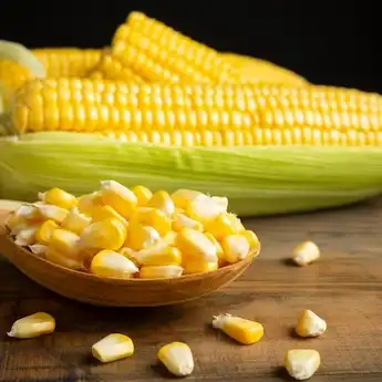 3 Teks Argumentasi tentang Jagung yang Singkat dan Sesuai Strukturnya