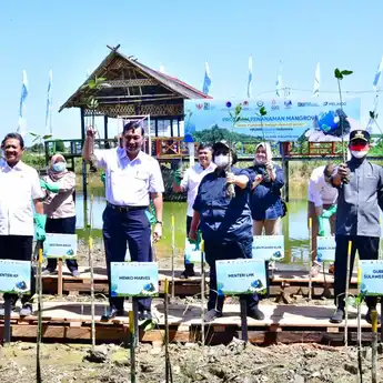 Masuk Program Prioritas Andalan, 3 Juta Mangrove Ditanam di Wilayah Pesisir