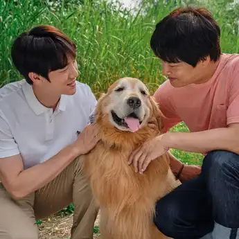 5 Drama dan Film Korea Bertema Pencinta Hewan Bikin Hati Meleleh