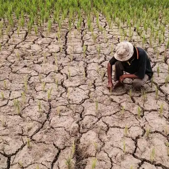 Darurat El Nino! Sumur Bor Hingga Rekayasa Cuaca Jadi Solusi Atasi Kekeringan di Sulsel