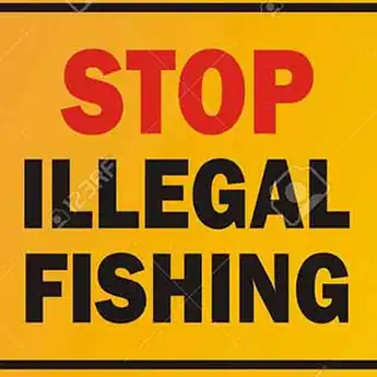 Pemprov Sulsel Akan Bentuk Satgas Cegah Illegal Fishing