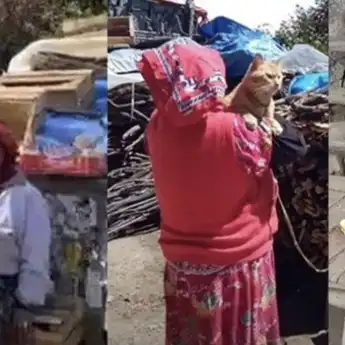 Sudah 5 Hari Kebakaran Gunung Lawu, Mbok Yem Nekat Tidak Mau Turun.