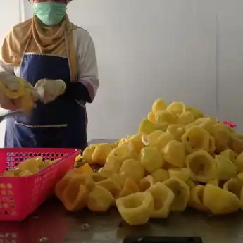 Carica, Buah Dataran Tinggi yang Penuh Manfaat