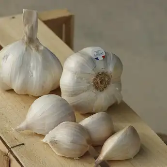 10 Manfaat Bawang Putih Tunggal, Kontrol Diabetes sampai Cegah Kanker