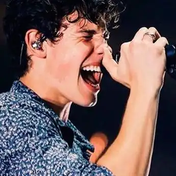 Makna Lagu Stitches -Shawn Mendes