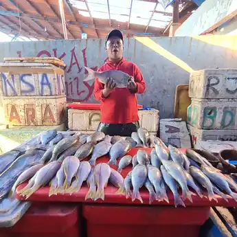 Stok Melimpah Hingga Desember, Harga Ikan di Sulsel Turun