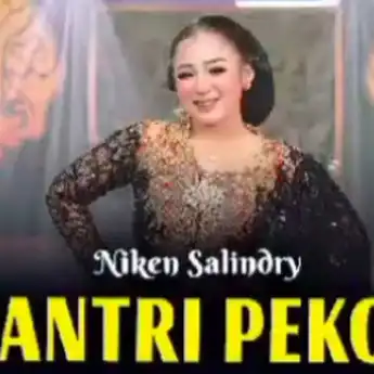 Lirik Lagu Santri Pekok versi Musik Campursari Oleh Niken Salindry
