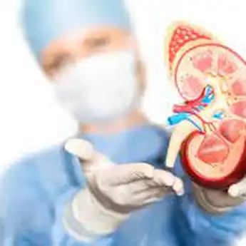 Cara dan Syarat Donor Ginjal Secara Legal di Indonesia