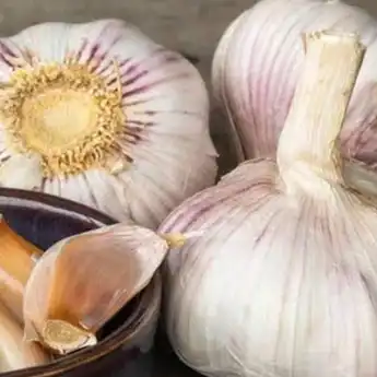 Tidak Pede Akibat Mulut Bau Bawang, Begini 10 Tips Mengatasinya!