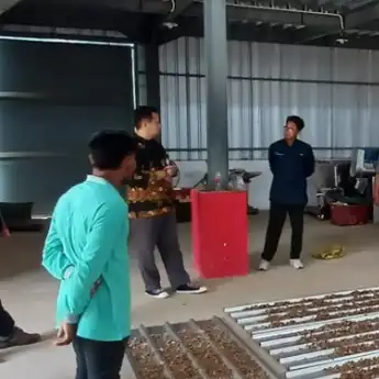RPB Jahe di Desa Jonggon Jaya Hampir Rampung, Petani Jahe Makin Bersemangat