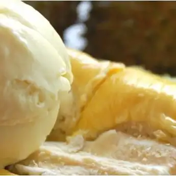 3 Resep Es Durian Enak dan Menyegarkan Cocok Jadi Ide Jualan