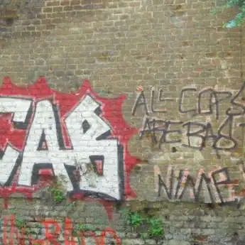 Arti ACAB yang Viral di TikTok, Singkatan dari Bahasa Inggris