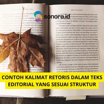 Contoh Kalimat Retoris dalam Teks Editorial yang Sesuai Struktur