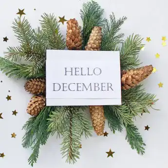 70 Quotes Bulan Desember, Sambut Bulan Baru dengan Ceria!