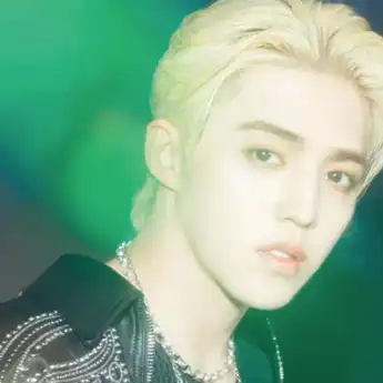 Lirik Lagu Jungle Milik S.COUPS SEVENTEEN, dengan Terjemahannya