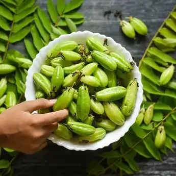 10 Manfaat Belimbing Wuluh Bagi Kesehatan dan Kecantikan, Beserta Cara Menggunakannya