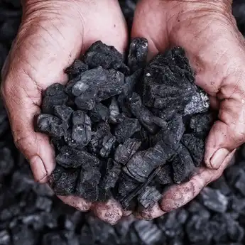 Berikut Ini Pengertian dan Berbagai Manfaat Batu Bara dalam Kehidupan