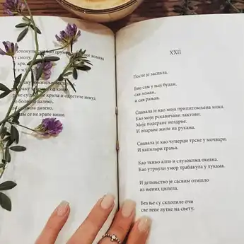 5 Contoh Puisi Prismatis, Lengkap dengan Pengertian dan Ciri-cirinya