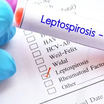 Waspada Kasus Leptospirosis, Satu Warga di Nogosari Boyolali Meninggal